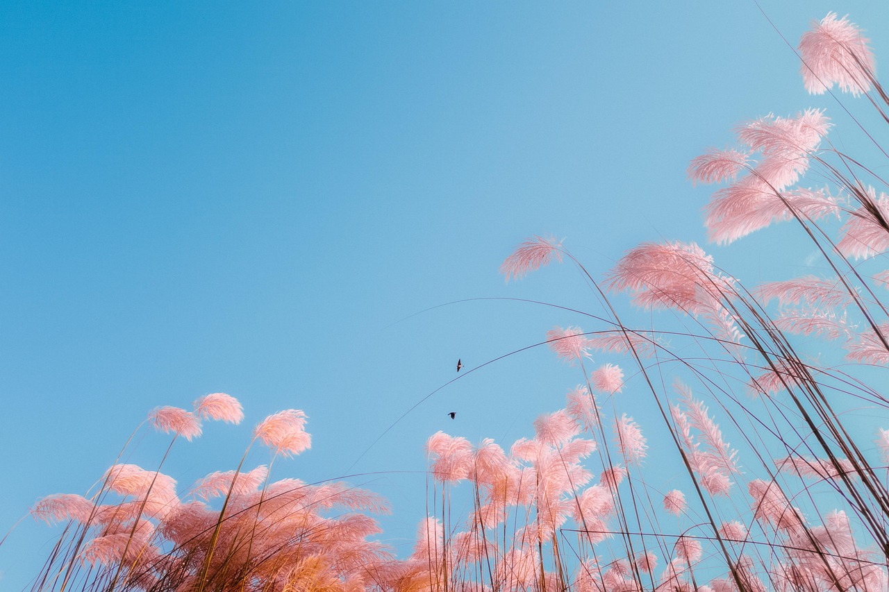 不要害怕失败，那些无法打败你的，终将使你更加强大 - 迪士友＜DisYo.COM＞