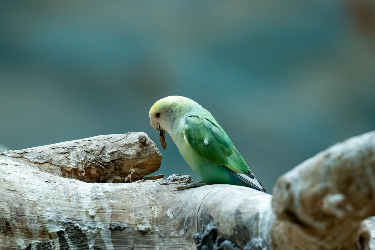 喜欢你的人，你怎么样都行；不喜欢你的人，你怎么样都不行 - 迪士友 # DisYo.COM